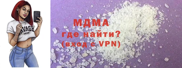 индика Елабуга